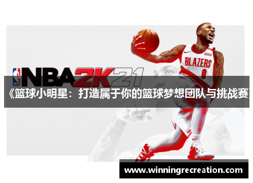 《篮球小明星：打造属于你的篮球梦想团队与挑战赛》