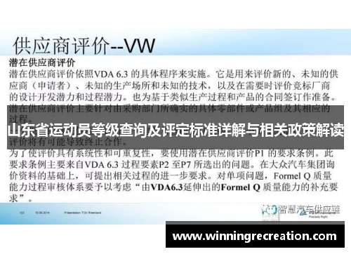 山东省运动员等级查询及评定标准详解与相关政策解读