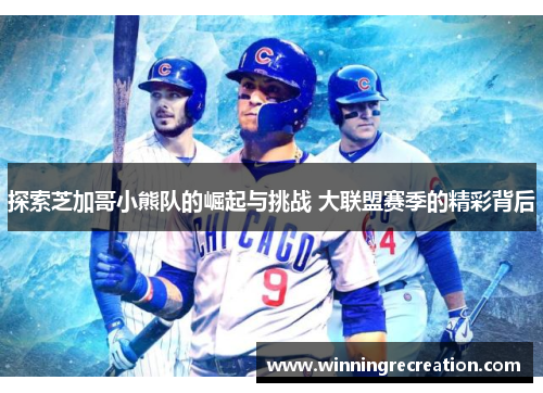 探索芝加哥小熊队的崛起与挑战 大联盟赛季的精彩背后