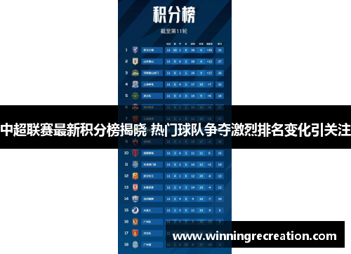 中超联赛最新积分榜揭晓 热门球队争夺激烈排名变化引关注